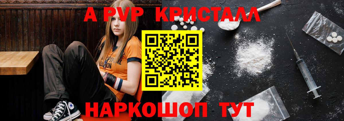 A PVP СК КРИС Бор